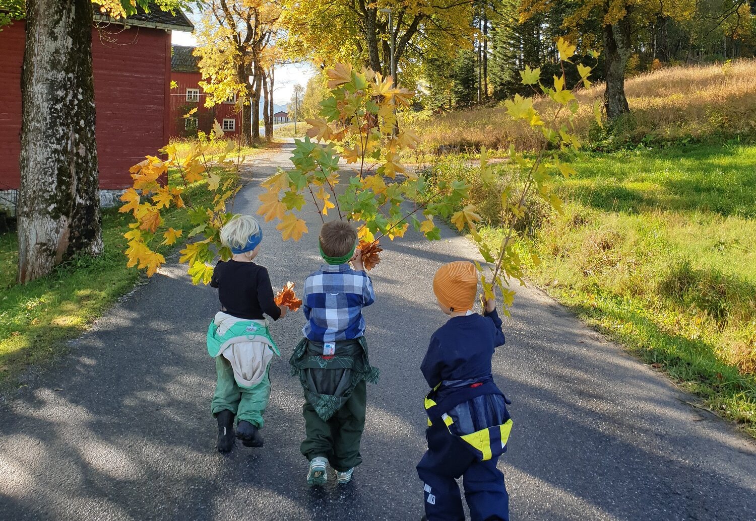 Svanviken barnehage