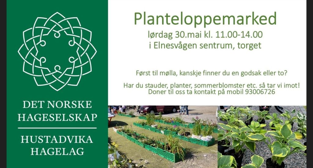 Planteloppemarked