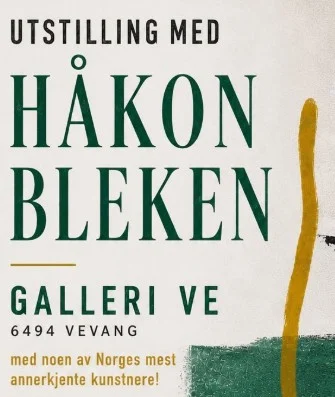 Utstilling med Håkon Bleken